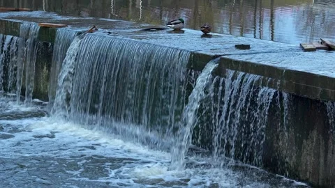 Flowing waters create calming atmosphere in serene natural setting Stock Footage 327603993