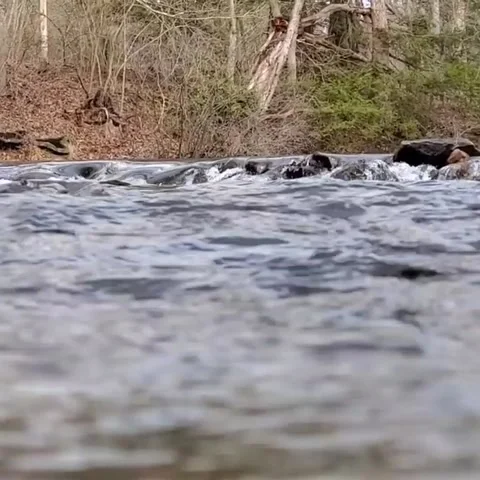 Flowing waters Video stock 155197367