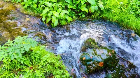 Flowing Waters Shine Stock Footage 296615981