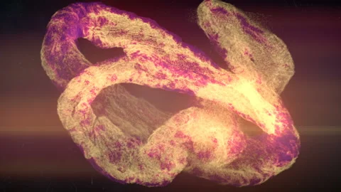 Flowing wave of moving particles. 3d rendering loop animation HD resolution Stock Footage 154939889