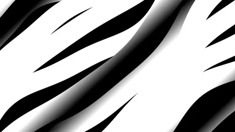 Flowing White Wave Lines on Black Zebra Pattern, Dynamic Motion Background Stock Footage 330567462