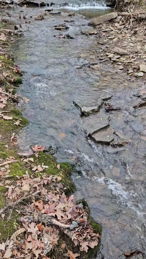 Flowing Winter Creek Stock Footage 260130557