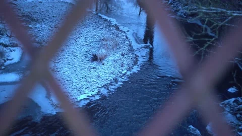 Flowing Winter River in Snow Through Metal Grate 4K Stock Footage 154003821