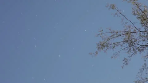 Flowing Wishes 2 Video stock 11344991