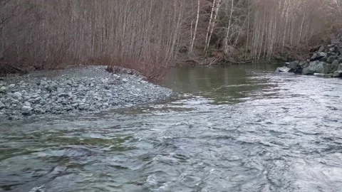 Flowing Worthless Creek Stock Footage 172565280