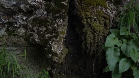 Flows from source rocks Vidéo 94729770