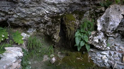 Flows from source rocks Video stock 94729831