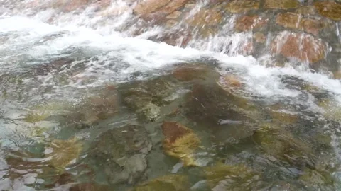 Flows Of Transparent Water Poppling Between Stones In A Mountain Rivulet Stock Footage 162672804
