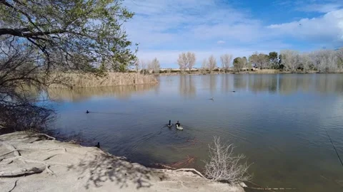 Floyd Lamb Park Stockbeeldmateriaal 267142355