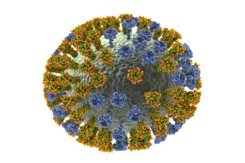 Flu virus, close-up view, 3D illustration Stock Illustration