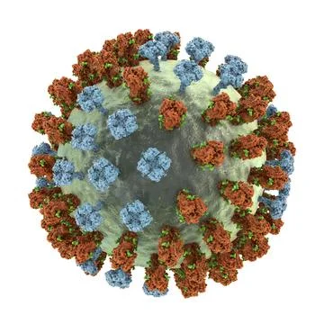 Flu virus, close-up view, 3D illustration Stock Illustration