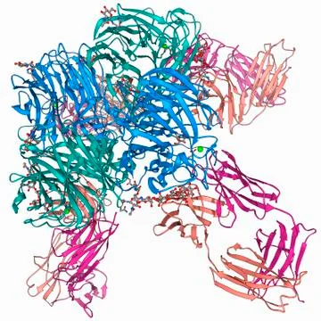 Flu virus surface protein and antibody Stock Illustration