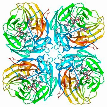 Flu virus surface protein and drug Stock Illustration