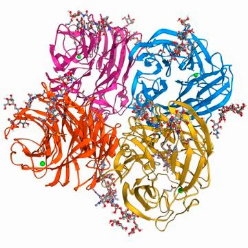 Flu virus surface protein molecule Stock Illustration