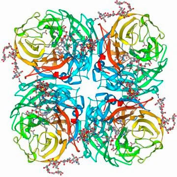Flu virus surface protein molecule Stock Illustration