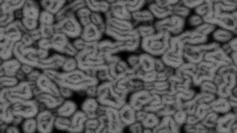 Fluctuating, cell-like noisy animation 스톡 동영상 147088746