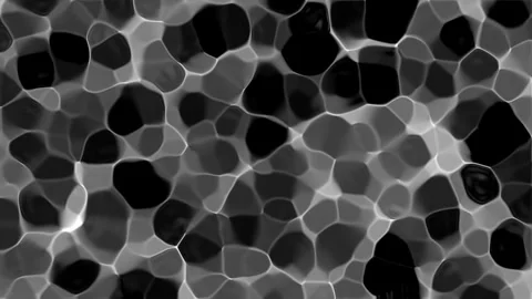 Fluctuating Grayscale Liquid Cellular Caustics Loop Stock Footage 342344387