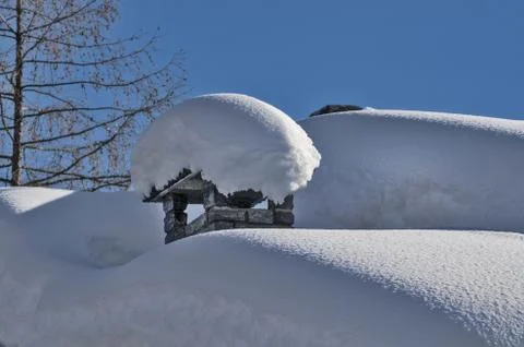 Flue under the snow 写真素材