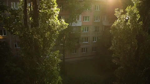 Fluff flies from poplars close-up. Slow motion shooting Stock Footage 142795008