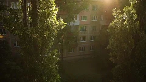 Fluff flies from poplars . Slow motion shooting. Stock Footage 142795158