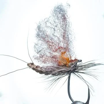 Fluffy artificial fly, mayfly imitation. Fly fishing. Stock Photos