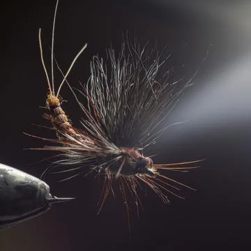Fluffy artificial fly, mayfly imitation. Fly fishing. Stock Photos