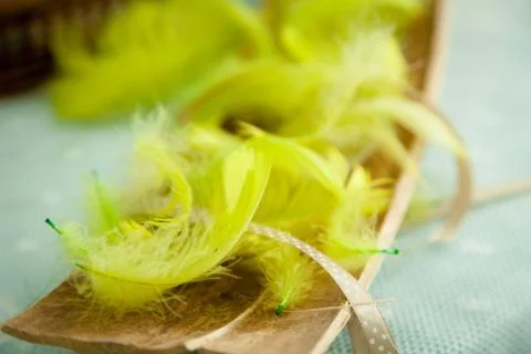 Fluffy background Yellow feathers Stock Photos