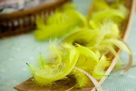 Fluffy background Yellow feathers Stock Photos