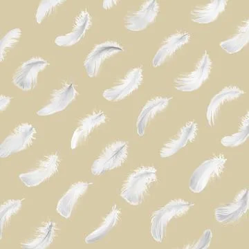 Fluffy bird feathers on beige background, pattern design Stock Photos