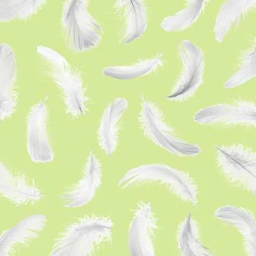 Fluffy bird feathers falling on light green background Stock Photos