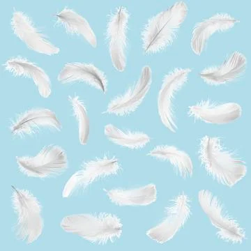 Fluffy bird feathers falling on light blue background Fotos de archivo