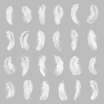 Fluffy bird feathers on grey background, pattern design Stock Photos