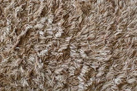 Fluffy carpet Stock Photos