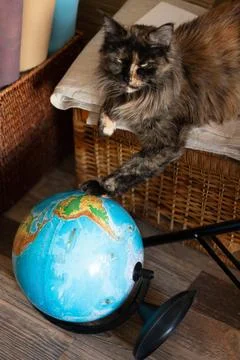 Fluffy Cat Paws on Globe: Exploring the World from Home Stock Photos