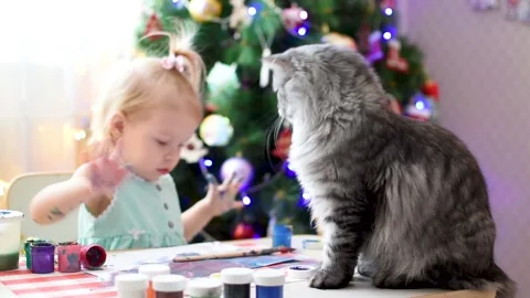 A fluffy cat sits on a table and watches a two-year-old girl Stock Footage 175517535