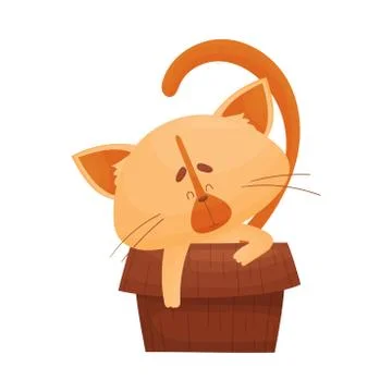 Fluffy Cat Sitting Inside Carton Box with His Paw Hanging Outside Vector イラスト素材