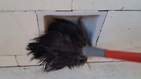 Fluffy cat tail swishing inside a bathroom wall soap dish video Stock Footage 339247434