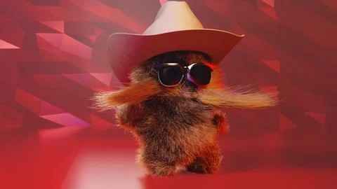 Fluffy character in a cowboy hat dancing. Endless animation Video stock 258958045