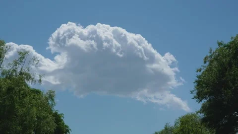 Fluffy cloud moving in blue sky over trees Stock-Footage 334411796