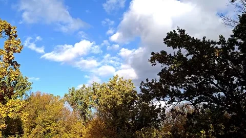 Fluffy clouds in an autumn park Video stock 318912527