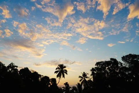 Fluffy clouds in the blue sky on the silhouette of tropical trees Stock Photos
