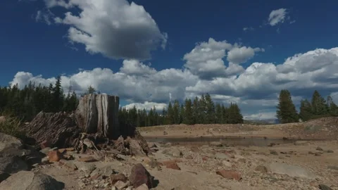 Fluffy clouds drift over an old tree stump on a dry lakebed Vídeos de archivo 347405020