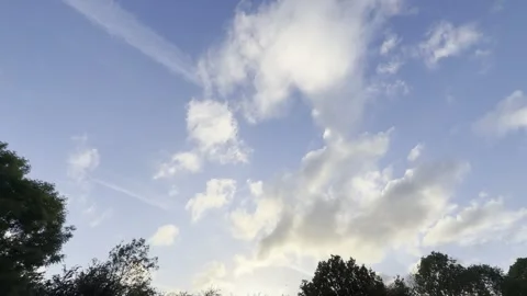 Fluffy clouds floating above tree canopy panning Vídeos de archivo 335541808