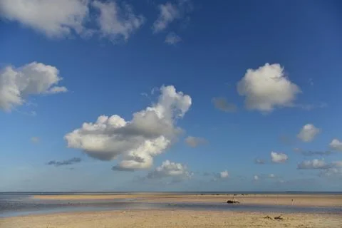 Fluffy clouds over endless mexican beach and calm waters Stock Photos