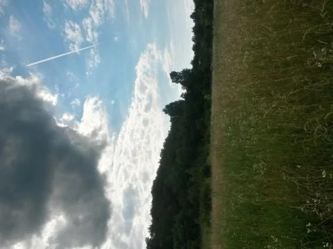 Fluffy clouds on the sky. cloudy day in the forest Stock Photos