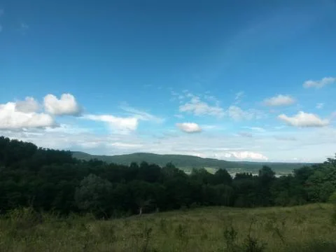 Fluffy clouds on the sky. cloudy day in the forest Stock Photos