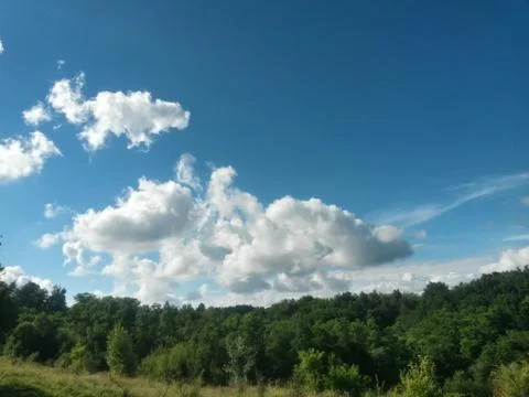 Fluffy clouds on the sky. cloudy day in the forest Stock Photos