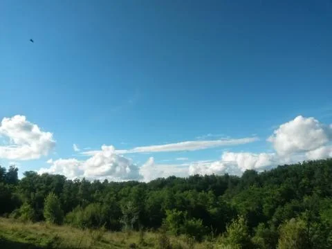 Fluffy clouds on the sky. cloudy day in the forest Stock Photos