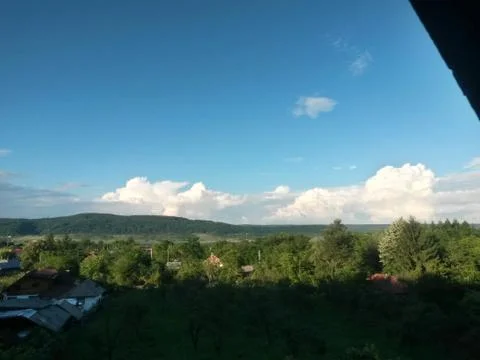 Fluffy clouds on the sky. cloudy day in the forest Stock Photos