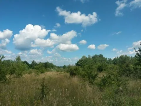 Fluffy clouds on the sky. cloudy day in the forest Stock Photos